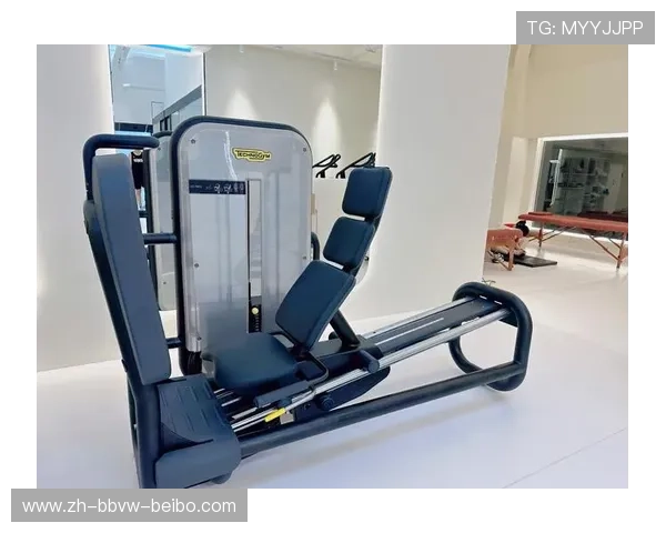 泰若建健身器材品牌及体育应用探讨