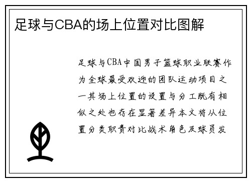 足球与CBA的场上位置对比图解